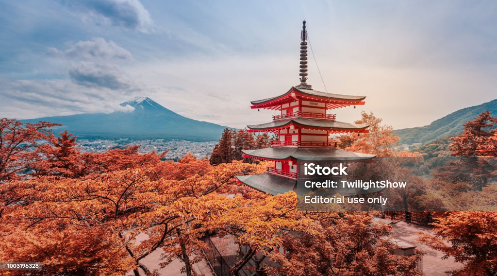 istockphoto-1003196328-1024×1024
